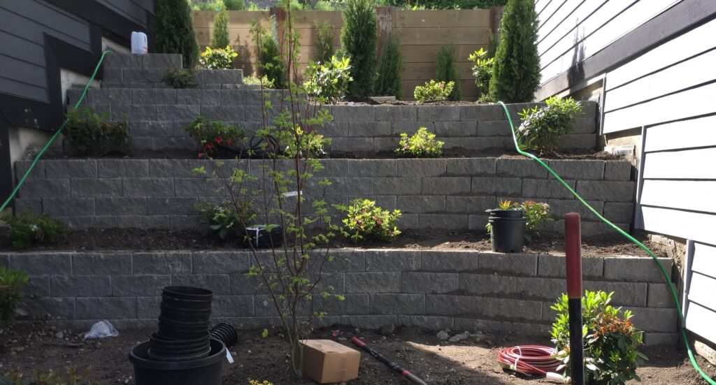 Newly landscaped residential backyard with tiered garden beds featuring young shrubs and plants, bordered by gray retaining wall blocks, against a backdrop of a wooden fence and a house with gray siding.